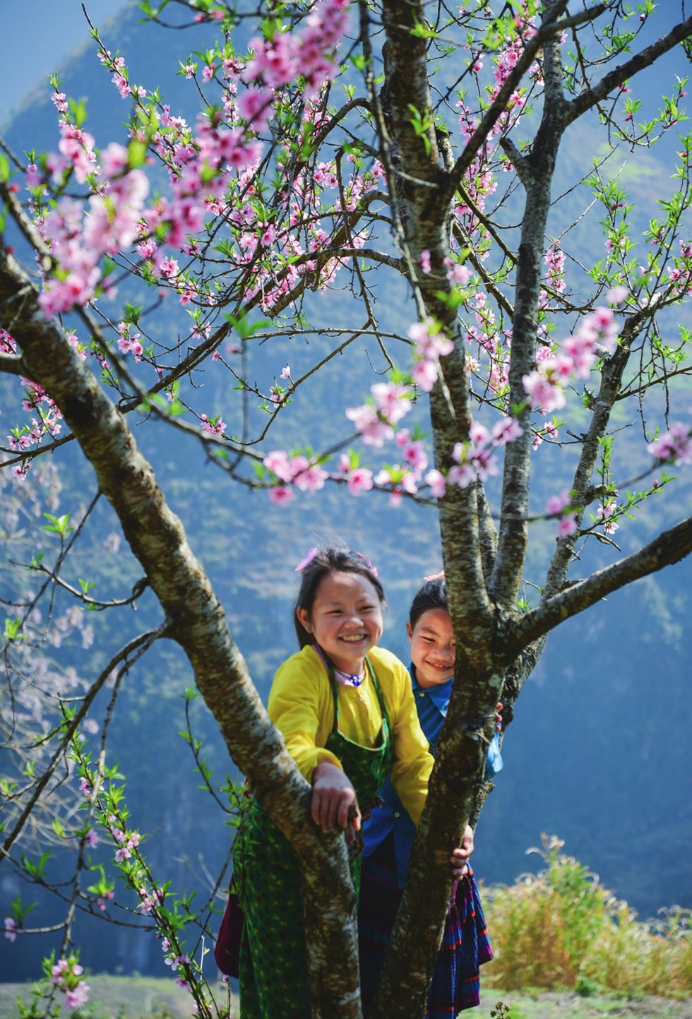 Hành trình du xuân lên cao nguyên đá xem ''đá nở hoa''5