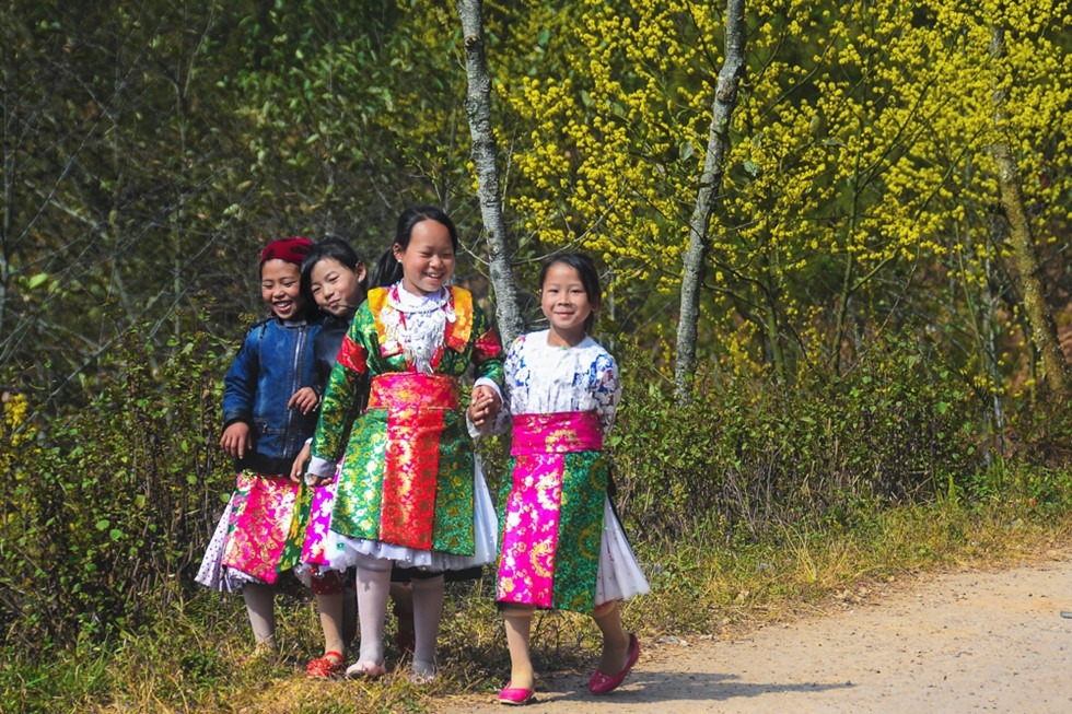 Hành trình du xuân lên cao nguyên đá xem ''đá nở hoa''8