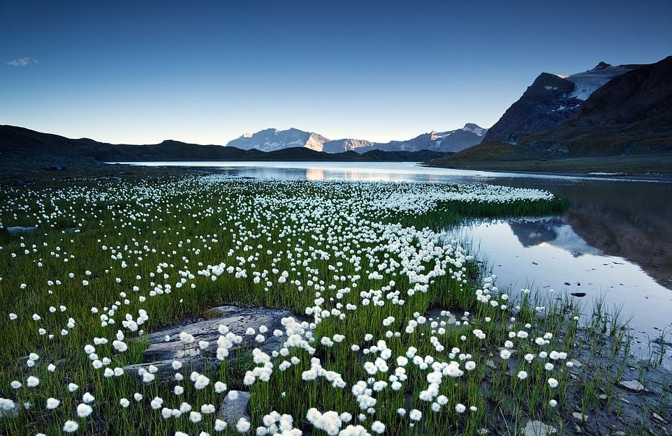 Hành trình khám phá và chiêm ngưỡng sự ngoạn mục của thiên nhiên trên dãy Alps8