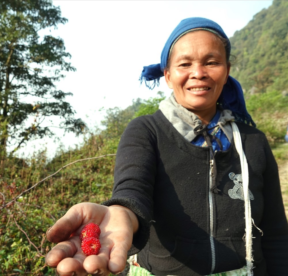 Lên Hà Giang để trở về với thiên nhiên8