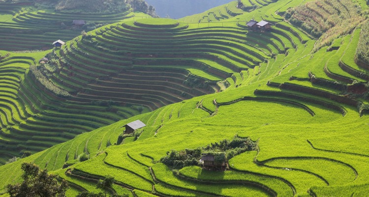 Mù Chang Chải - Điểm trekking năm 2020 1