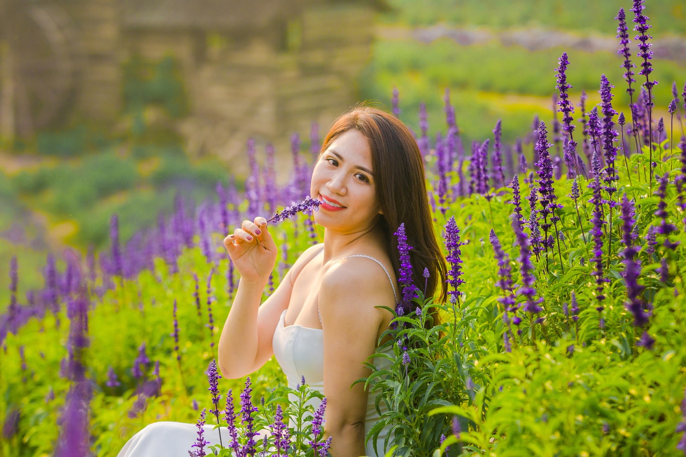 Mục sở thị cánh đồng hoa nữ hoàng xanh lãng mạn ngoại thành Hà Nội5