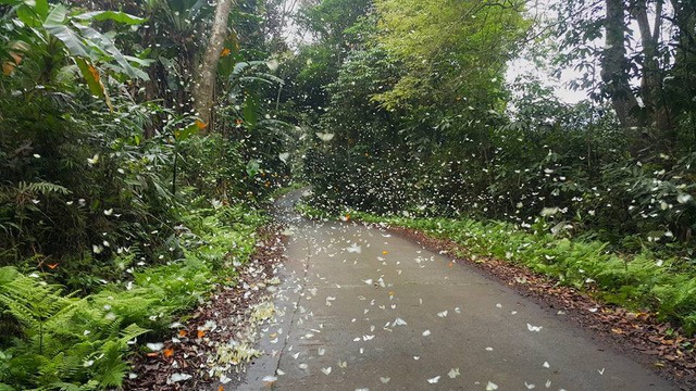 Những cung đường dành cho người mới làm quen trekking8