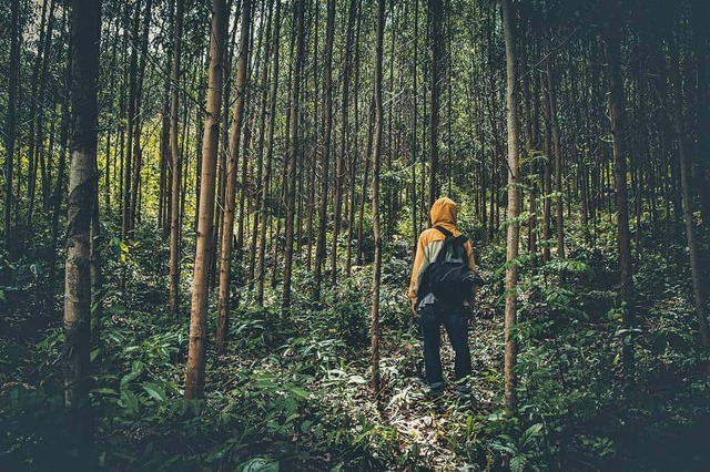 Những cung đường dành cho người mới làm quen trekking9