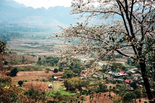 Những dịa điểm du lịch ngày quốc tế Phụ nữ tại miền Bắc 1