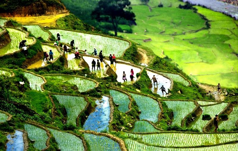 Những điểm trekking hấp dẫn bậc nhất ngay tại Việt Nam9