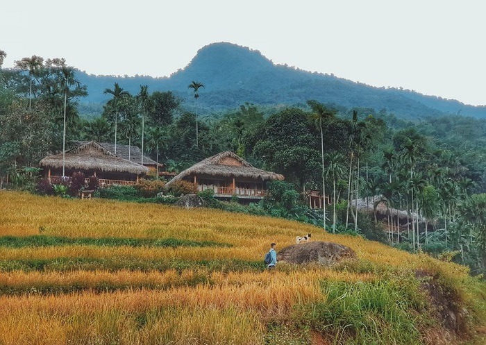 Pù Luông điểm đến yêu thích của dân mê xê dịch thích sống ảo 3