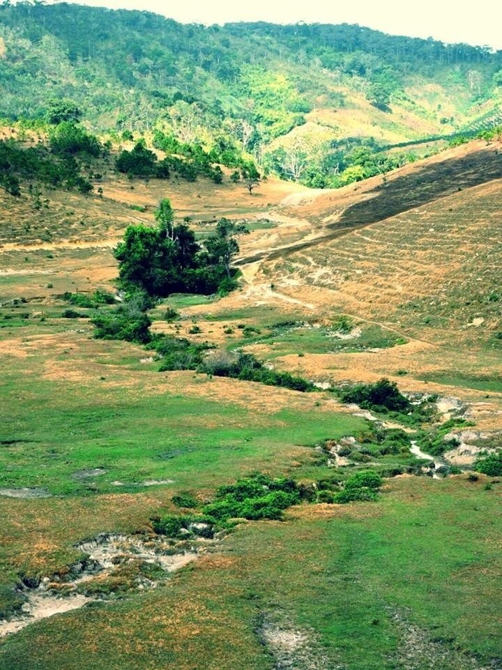 Thôn Masara - Miền đất lạ đẹp mê hồn ở Lâm Đồng2