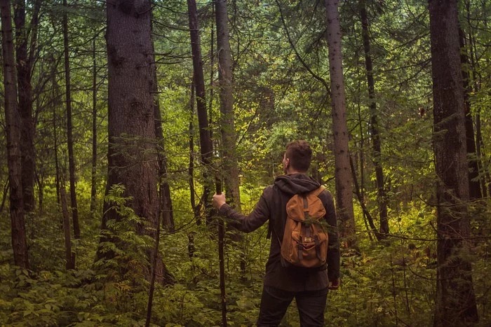 Top 5 kỹ năng sẽ cứu sống bạn khi bị lạc trong rừng sâu3