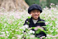 Hà Giang - Miên man Tam Giác Mạch 25-27/10/2013