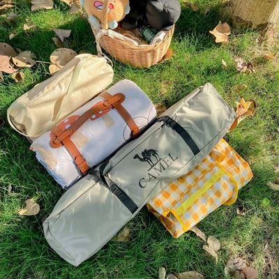 Ảnh tấm trải camel
