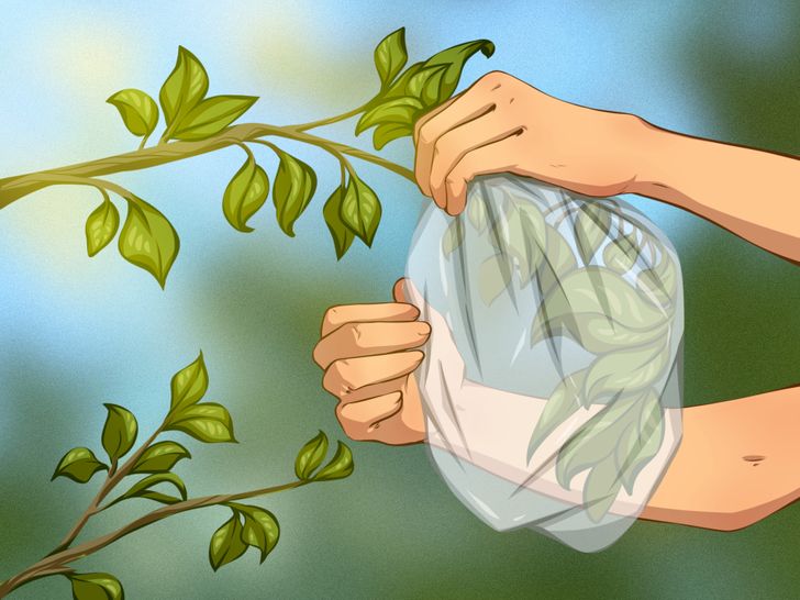 [WeTrekology] 8 mẹo sẽ cứu mạng bạn nếu bị lạc nơi hoang dã