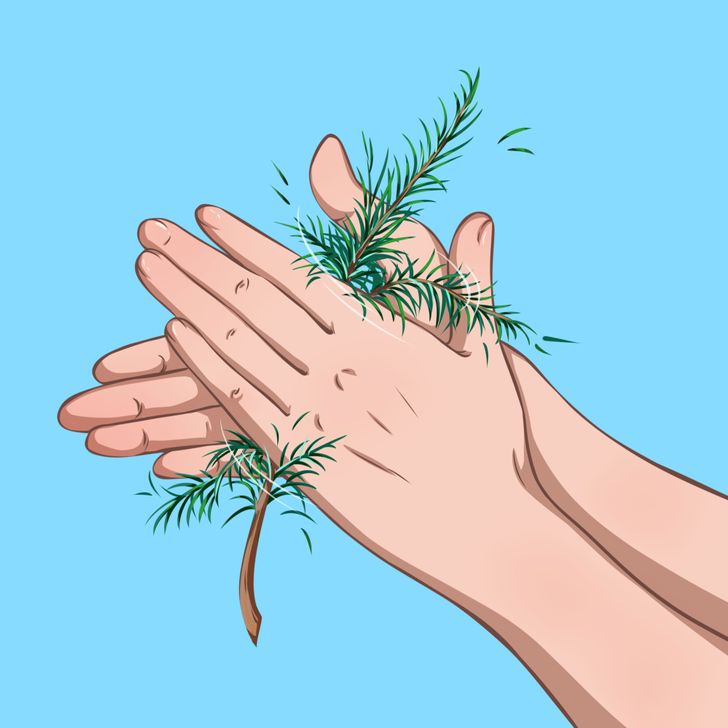 [WeTrekology] 8 mẹo sẽ cứu mạng bạn nếu bị lạc nơi hoang dã