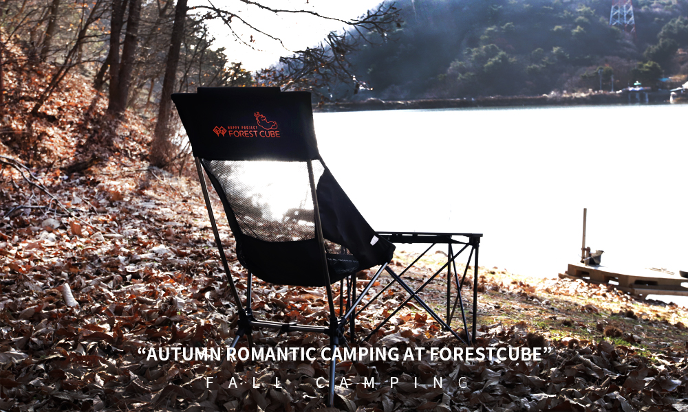 Forest Cube Việt Nam