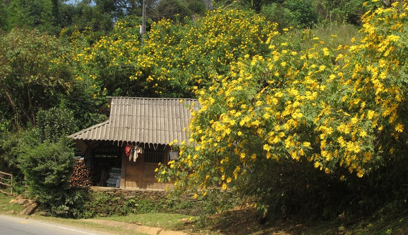 Kinh nghiệm Trekking Chư Yang Sin - Nóc nhà Đăk Lăk ẩn mình trong biển mây