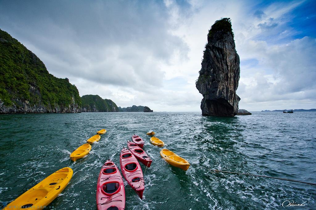 Chèo SUP, Kayak Hạ Long