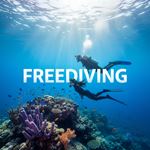 Lặn tự do (Freediving) là gì?