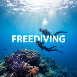 Lặn tự do (Freediving) là gì?