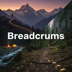 Vết theo dõi là gì?