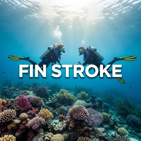 Kỹ thuật quạt chân (Fin Stroke) là gì?