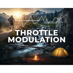 Điều biến chân ga là gì?