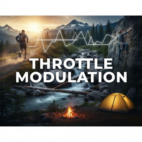 Điều biến chân ga là gì?