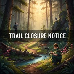 Thông báo đóng đường (Trail Closure Notice) là gì?