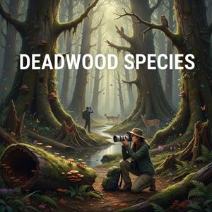 Loài sống trên gỗ mục (Deadwood Species) là gì?