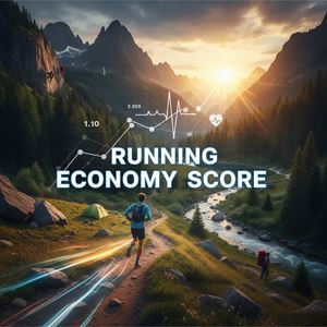 Điểm hiệu suất chạy là gì?