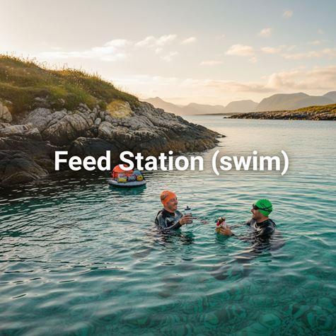 Điểm tiếp năng lượng (Feed Station (swim)) là gì?