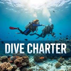 Tàu dịch vụ lặn (Dive Charter) là gì?
