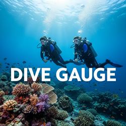 Đồng hồ đo lặn (Dive Gauge) là gì?