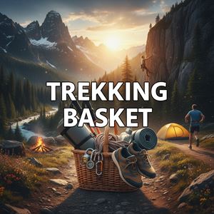 Đĩa gậy chống tuyết là gì?