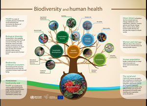 Tìm hiểu từ A - Z về Đa đạng sinh học Biodiversity