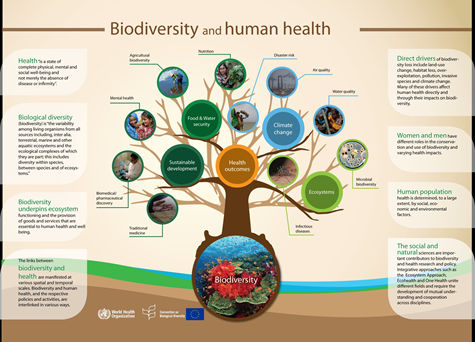 Tìm hiểu từ A - Z về Đa đạng sinh học Biodiversity