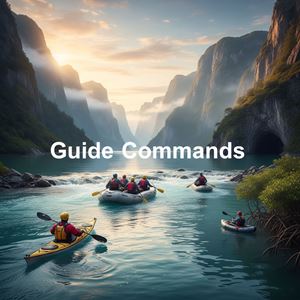 Lệnh hướng dẫn (Guide Commands) là gì?