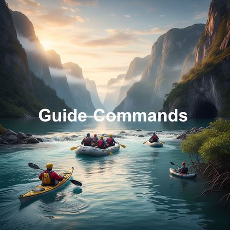 Lệnh hướng dẫn (Guide Commands) là gì?