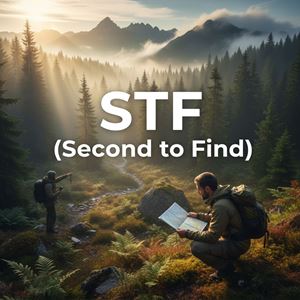 Người tìm thứ hai (STF (Second to Find)) là gì?