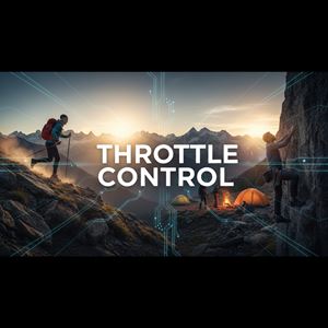 Kiểm soát ga là gì?