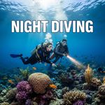 Lặn đêm (Night Diving) là gì?