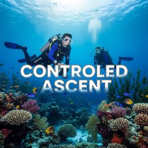 Lên có kiểm soát (Controlled Ascent) là gì?
