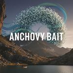 Cá cơm (Anchovy Bait) là gì?
