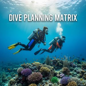 Ma trận lập kế hoạch lặn (Dive Planning Matrix) là gì?