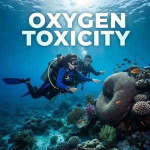 Ngộ độc oxy (Oxygen Toxicity) là gì?