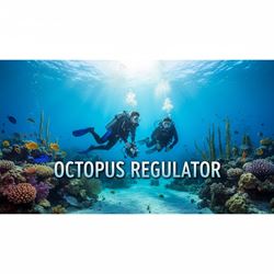 Bộ điều áp phụ (Octopus Regulator) là gì?