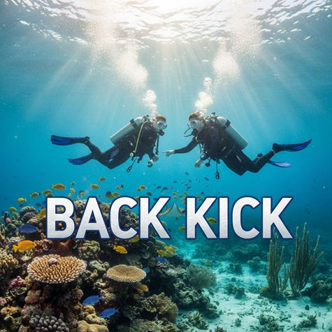 Quạt lùi (Back Kick) là gì?