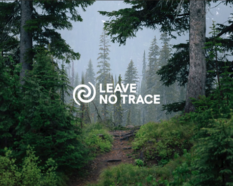 [Leave No Trace là gì?] 7 Nguyên Tắc Không Để Lại Dấu Khi Cắm trại, Dã ngoại