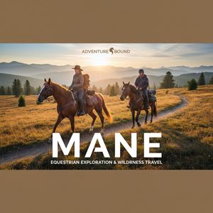 Bờm ngựa (Mane) là gì?