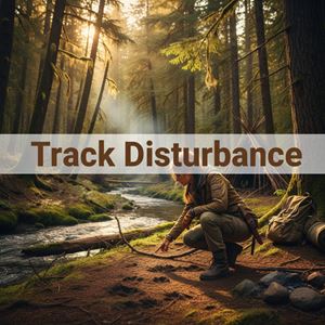 Xáo trộn dấu (Track Disturbance) là gì?