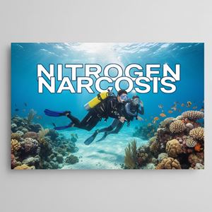 Say khí nitơ (Nitrogen Narcosis) là gì?